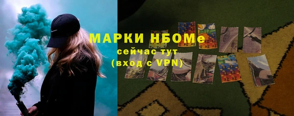 гидра Гусев