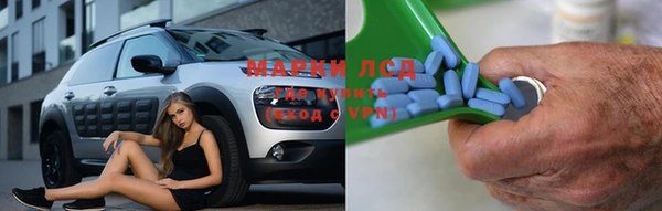 индика Горно-Алтайск