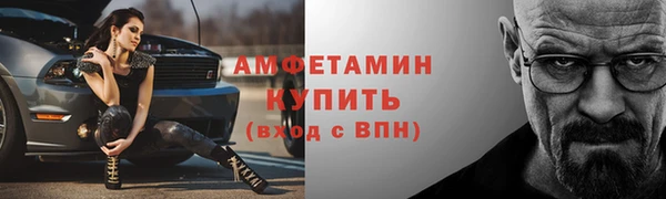 индика Горно-Алтайск
