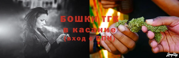 индика Горно-Алтайск