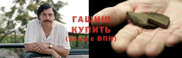 гидра Гусев