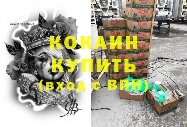 индика Горно-Алтайск