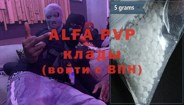 индика Горно-Алтайск