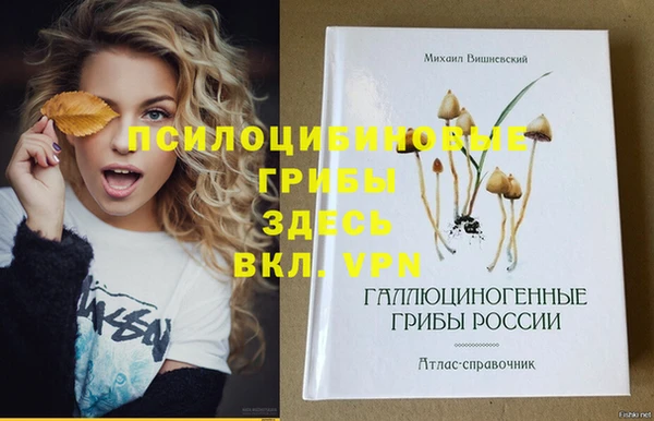 индика Горно-Алтайск