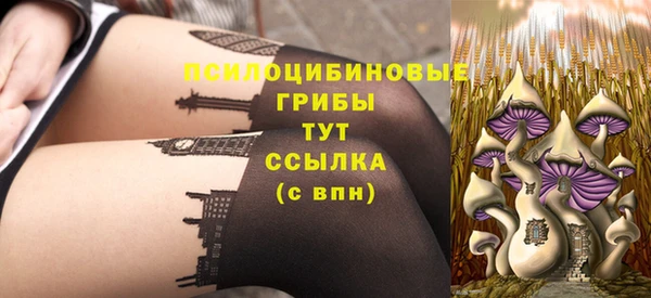 индика Горно-Алтайск