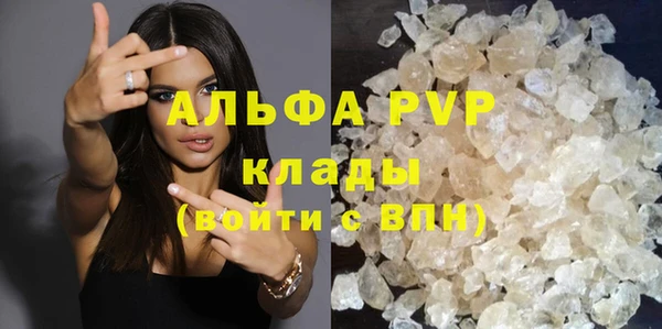 индика Горно-Алтайск