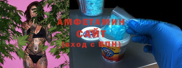 индика Горно-Алтайск