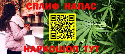 дживик Малгобек
