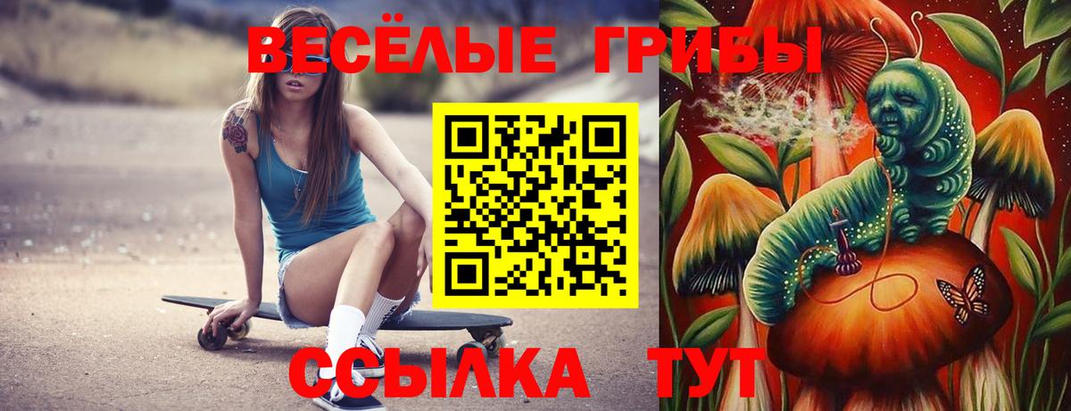 Псилоцибиновые грибы Cubensis Избербаш